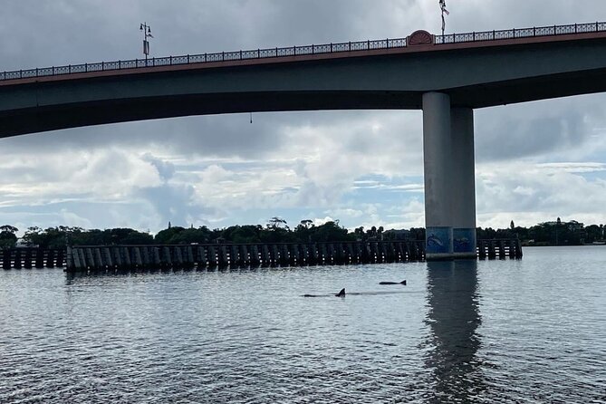 Dolphin and Manatee Stand Up Paddleboard Tour in Daytona Beach - Circling the island and passing seven bridges