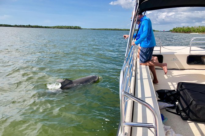 Dolphin and Shelling Cruise for up to 12 people - What the guides add to the ride