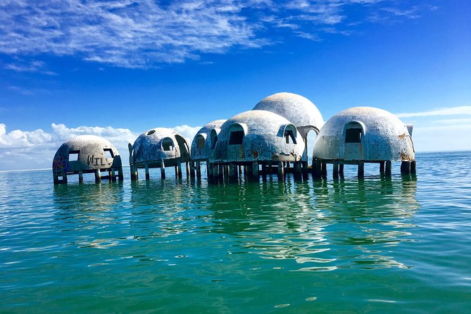 Dolphin and Shelling Cruise for up to 12 people - Weather, comfort, and what to bring