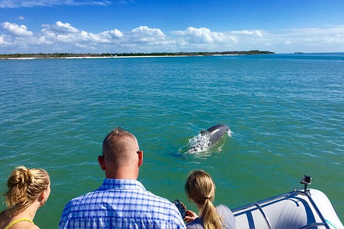 Dolphin and Shelling Cruise for up to 12 people - Who will enjoy this cruise most?