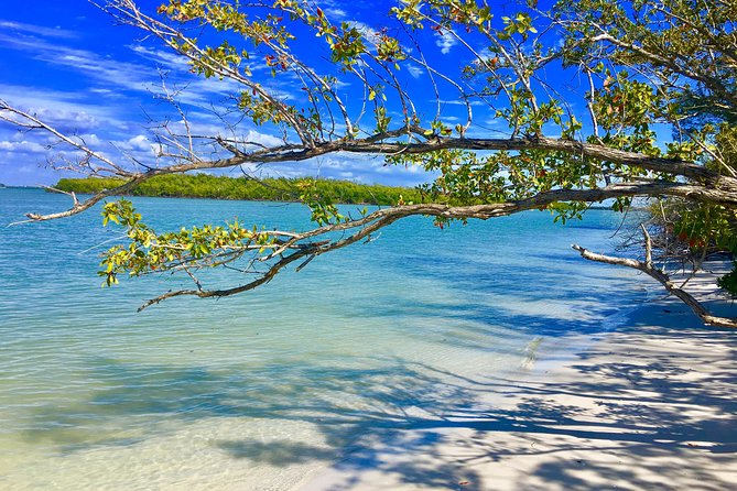 Dolphin and Shelling Cruise for up to 12 people - Booking and cancellation details