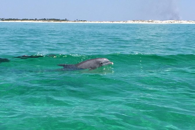 Dolphin Cruise in Destin FL - A fast start from HarborWalk Village