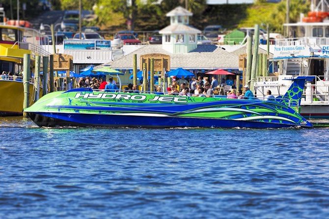 Dolphin Cruise in Destin FL - Dolphin watching without a full-day tour