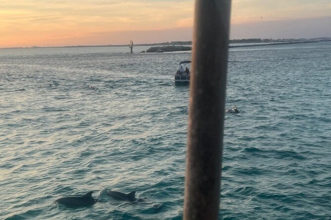 Dolphin & Sunset Cruises - A 90-Minute Route From Harbor to the Gulf