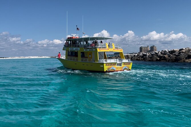 Dolphin & Sunset Cruises - What Dolphin Watching Is Really Like