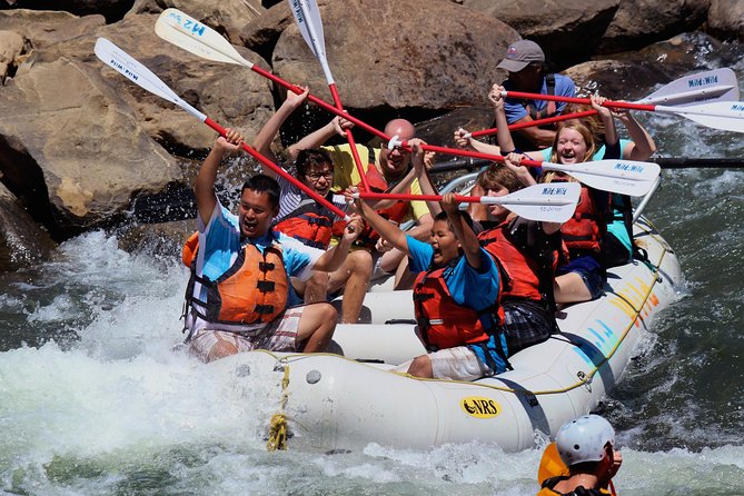 Durango Half Day Rafting Trip - Lower Animas River - At a glance: what makes this river trip useful