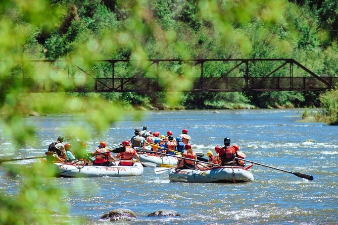 Durango Half Day Rafting Trip - Lower Animas River - Sawmill, Santa Rita, and Pinball rapids