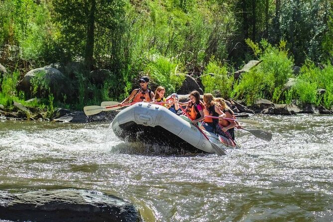 Durango Half Day Rafting Trip - Lower Animas River - The guide can shape the whole experience