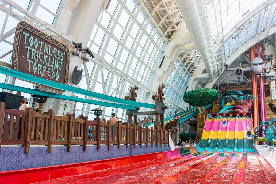 East Rutherford: Dreamworks Indoor Water Park Entry Ticket - Who should book DreamWorks Water Park