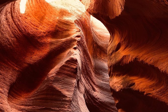 East Zion 4 Hour Slot Canyon Canyoneering UTV Tour - Sugar Knoll and Ladder Canyon