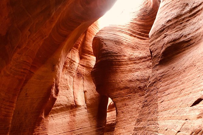 East Zion 4 Hour Slot Canyon Canyoneering UTV Tour - Fitness, fear of heights, and the wet-canyon issue