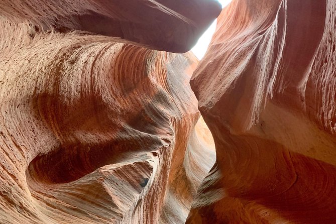East Zion 4 Hour Slot Canyon Canyoneering UTV Tour - Is the $174 price fair?