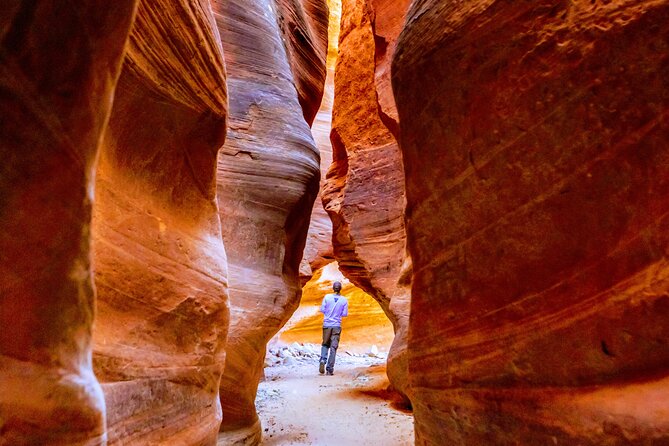 East Zion Crimson Canyon Hike & UTV Adventure - Is $129.91 a fair price?