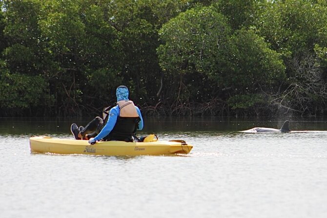 Easy Ride Pedal Kayak Tour Marco Island & Naples (Pedal or Paddle - Why the pedal kayak changes the outing