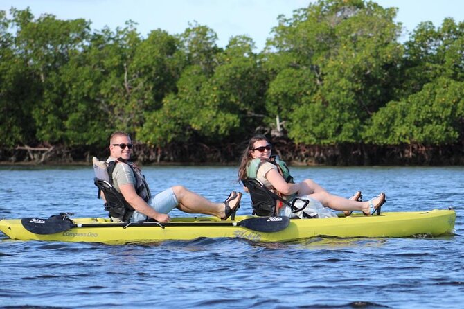 Easy Ride Pedal Kayak Tour Marco Island & Naples (Pedal or Paddle - The value of a two-hour guided nature trip
