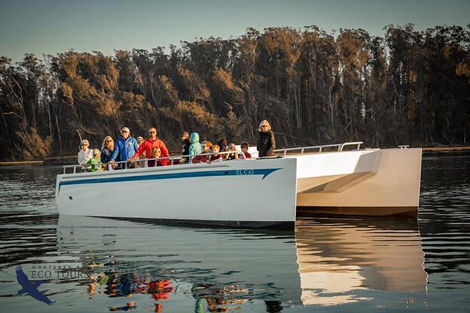 Elkhorn Slough Wildlife Tour - What the Naturalist Adds
