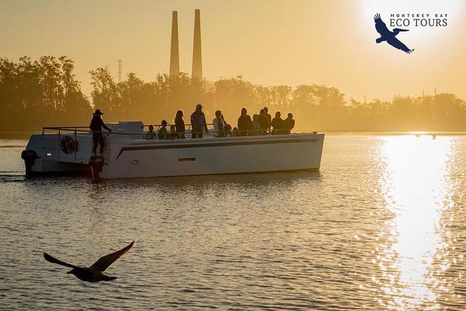 Elkhorn Slough Wildlife Tour - Is the $45 Price Good Value?