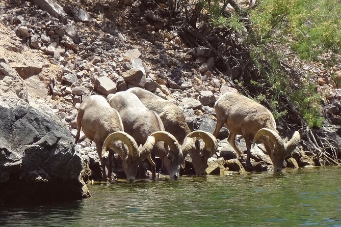 Emerald Cave & Black Canyon Kayak Tour with Vegas Pickup - What to wear and pack