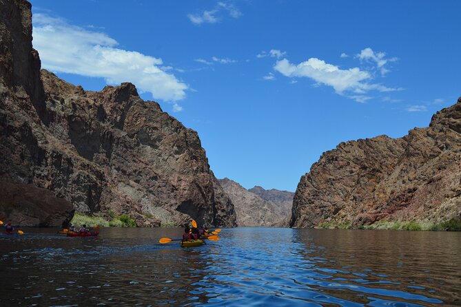 Emerald Cave Kayak Tour with Lunch & Las Vegas Shuttle Option - Wildlife along the Colorado River