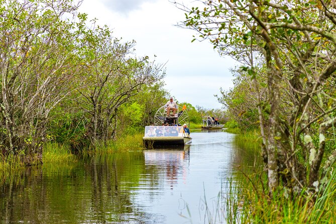 Everglades Airboat Safari Adventure with Transportation - The airboat ride across marsh and mangrove