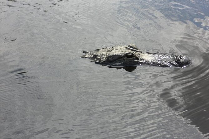 Everglades Airboat Tour from Fort Lauderdale with transportation - Boarding the airboat at Dania Beach