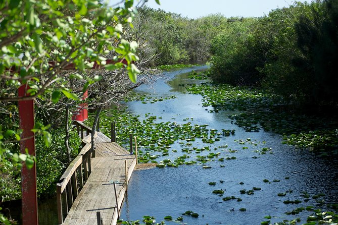 Everglades Airboat, Wildlife Show, and Roundtrip Bus From Miami - How much time you really get at the park