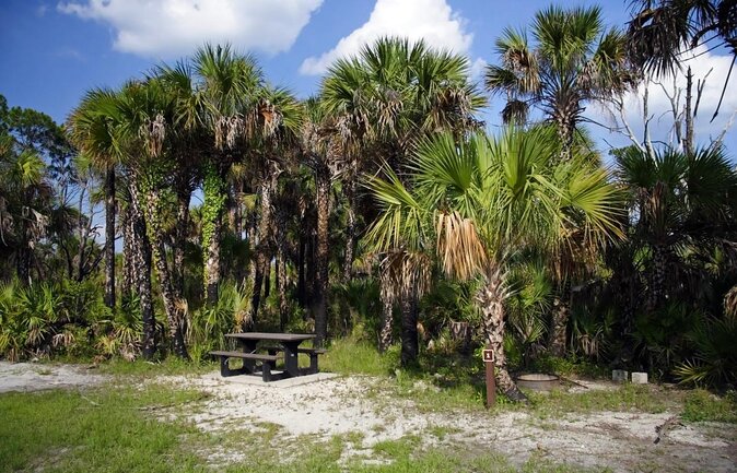 Everglades Day Safari from Ft Lauderdale - Key points to know before booking