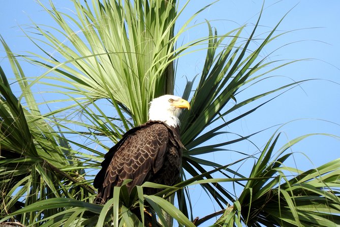 Everglades Day Safari from Ft Lauderdale - Lunch adds local flavor without another planning task