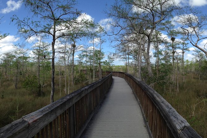 Everglades Day Safari from Ft Lauderdale - What the $250 price really covers