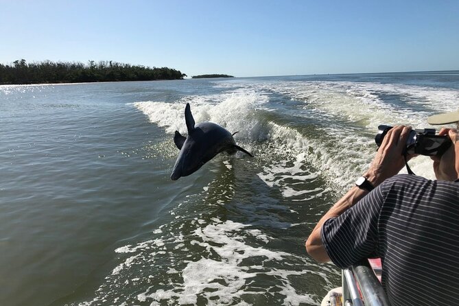 Everglades Day Safari from Ft Lauderdale - The morning airboat ride across sawgrass