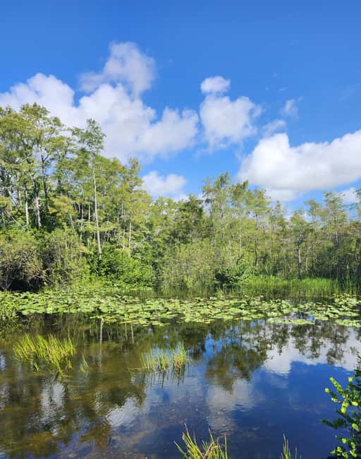Everglades Eco Airboat Small-Group Tour & 2 Private Islands - Why this Everglades trip feels different