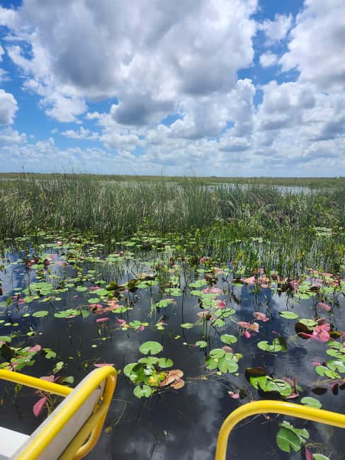 Everglades Eco Airboat Small-Group Tour & 2 Private Islands - The one-hour airboat ride