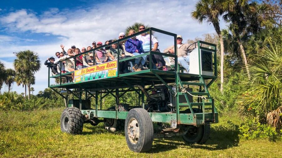 Everglades: Mangrove Maze Airboat Tour and Boardwalk - What the boardwalk adds to the experience