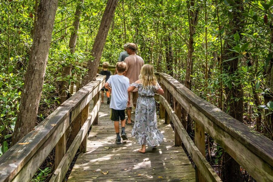 Everglades: Mangrove Maze Airboat Tour and Boardwalk - Should you book the Mangrove Maze Airboat Tour?