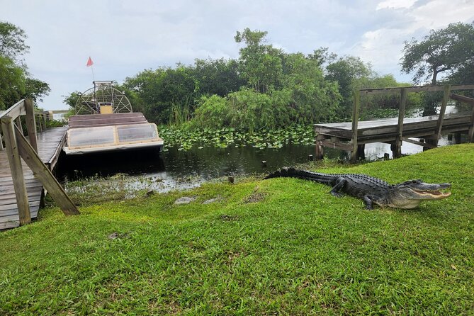 Everglades National Park Biologist Led Adventure: Cruise, Hike + Airboat - Who will enjoy this long day most