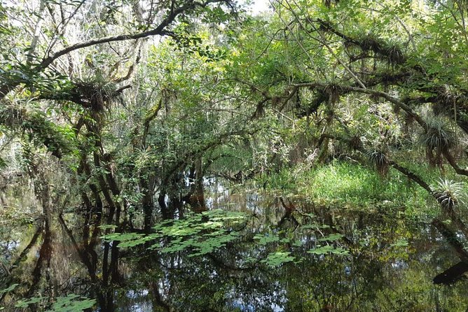 Everglades National Park Biologist Led Adventure: Cruise, Hike + Airboat - Native tree islands and the Miccosukee connection