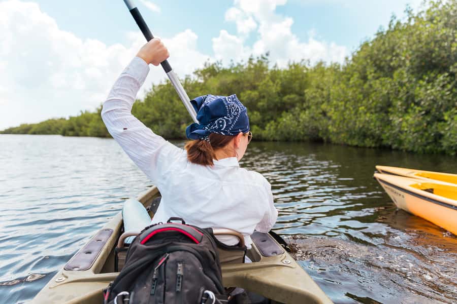 Everglades National Park: Mangrove Tunnel Kayak Eco-Tour - Why the mangrove tunnels make this tour special