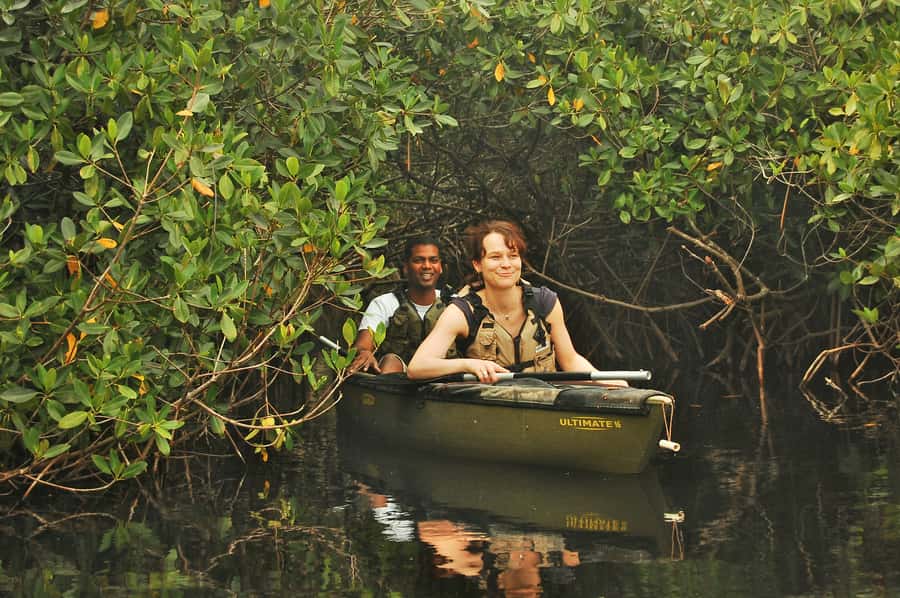 Everglades National Park: Mangrove Tunnel Kayak Eco-Tour - Meeting at the old chamber of commerce