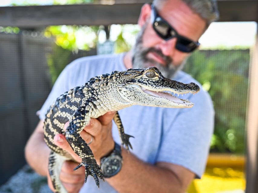 Everglades: Sawgrass Park Day Time Airboat Tour & Exhibits - What the Sawgrass airboat experience is really like