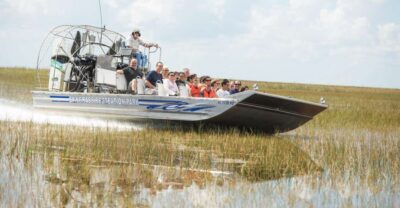 Everglades: Sawgrass Park Day Time Airboat Tour & Exhibits
