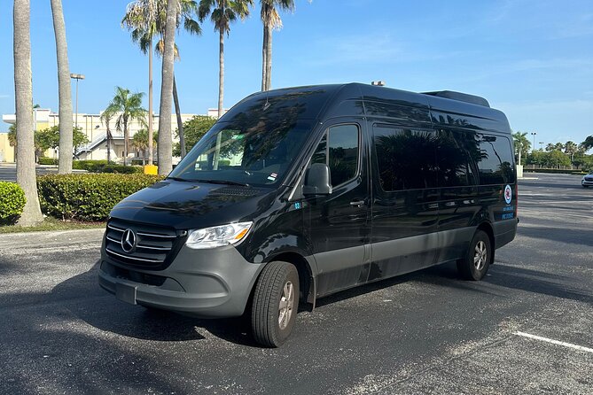 Everglades Small-Group Tour from Miami with Transportation - What this Miami Everglades trip really offers