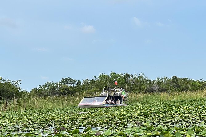 Everglades Small-Group Tour from Miami with Transportation - The rescued alligator presentation