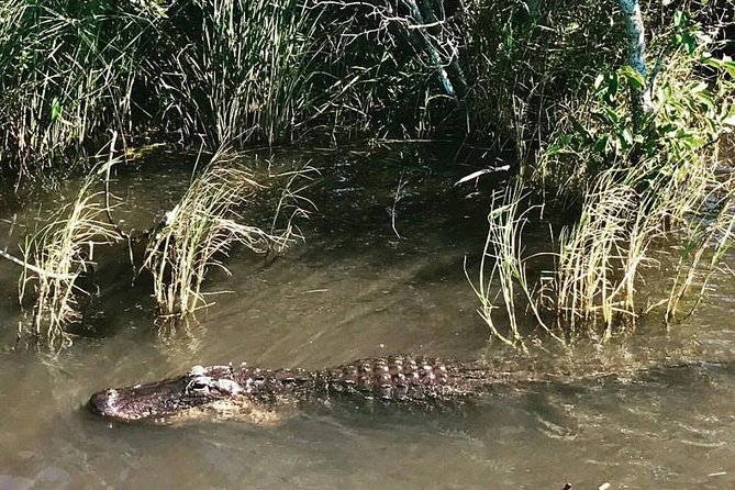 Everglades Small-Group Tour from Miami with Transportation - How much time you spend on the road
