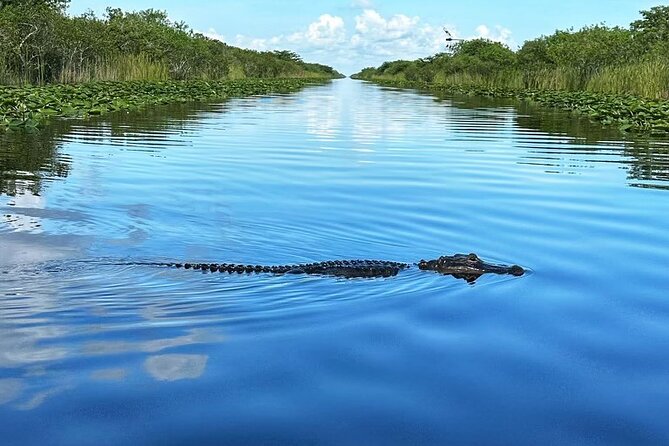 Everglades Small-Group Tour from Miami with Transportation - What the $82.98 price buys you