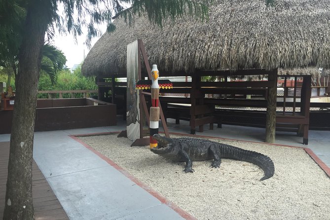 Everglades Small-Group Tour from Miami with Transportation - Hotel pickup in Miami Beach and Downtown