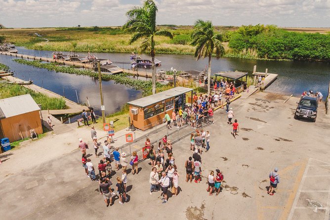 Everglades VIP Airboat Tour with Transportation Included - What the alligator show means for your plans