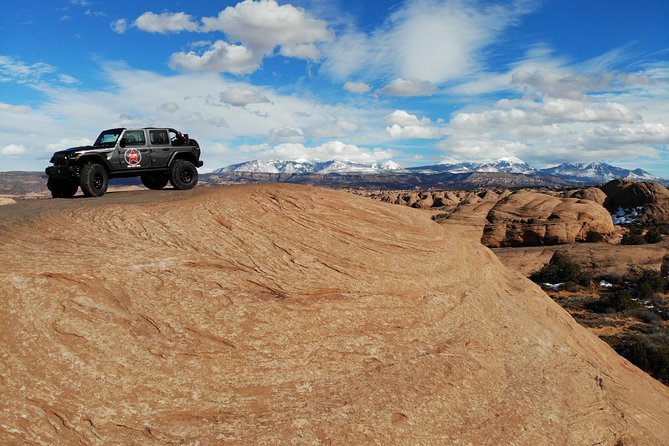 Exciting and Scenic Off-Road Guided Tour of Moab's Backcountry!!! - Dinosaur tracks add a quieter stop