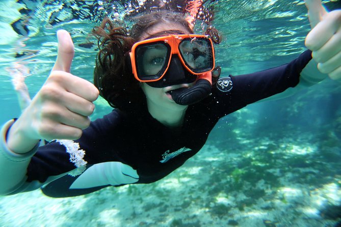 Exclusive Small Group VIP Heated Manatee Snorkel Tour - Snorkeling beside manatees, without chasing them