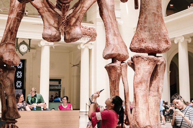 Field Museum of Natural History Admission Tickets - Ancient Egypt and 23 Egyptian mummies