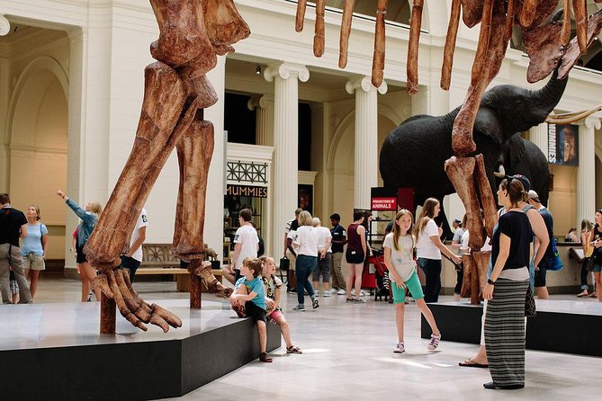 Field Museum of Natural History Admission Tickets - Ancient Americas, from mammoth hunters to temple builders